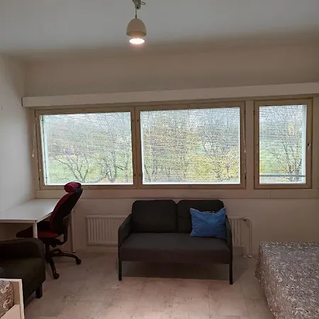Pet-friendly 4 Bed In With Park Views Turku